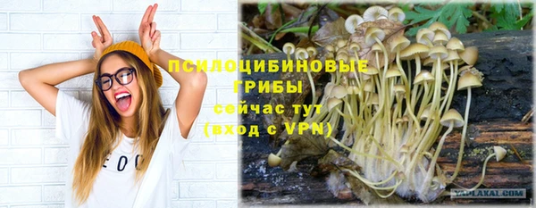 кокаин премиум Алексин