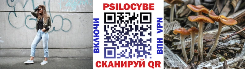 Галлюциногенные грибы MAGIC MUSHROOMS  купить закладку  Боготол 